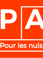 La Politique Africaine Pour Les Nuls